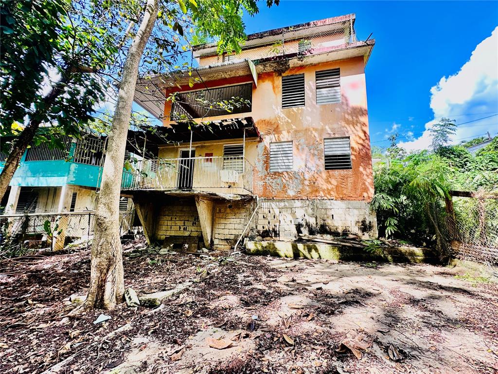 Carr 159, Sostre, Corozal - 2