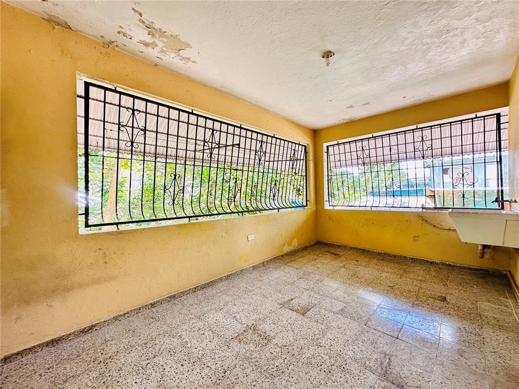 Carr 159, Sostre, Corozal - 20