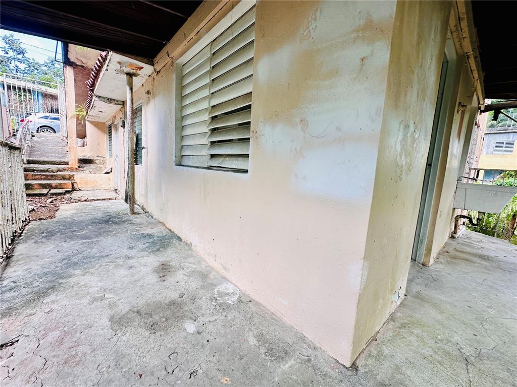 Carr 159, Sostre, Corozal - 21