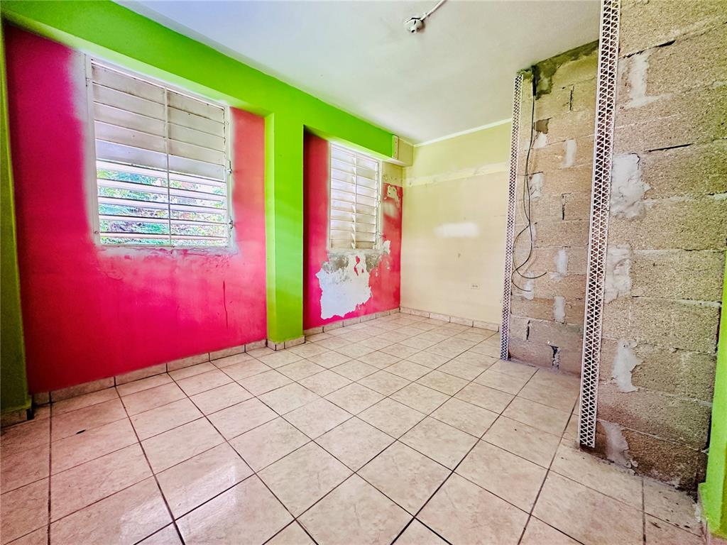 Carr 159, Sostre, Corozal - 25