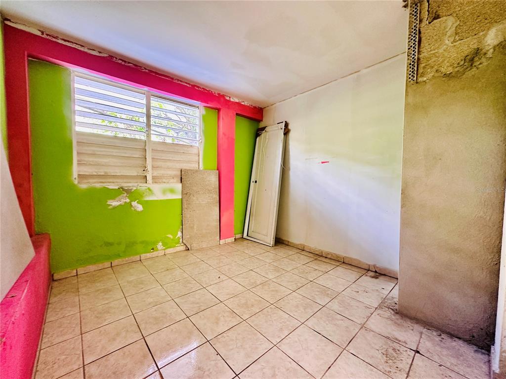 Carr 159, Sostre, Corozal - 27