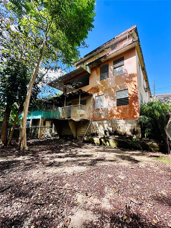 Carr 159, Sostre, Corozal - 29