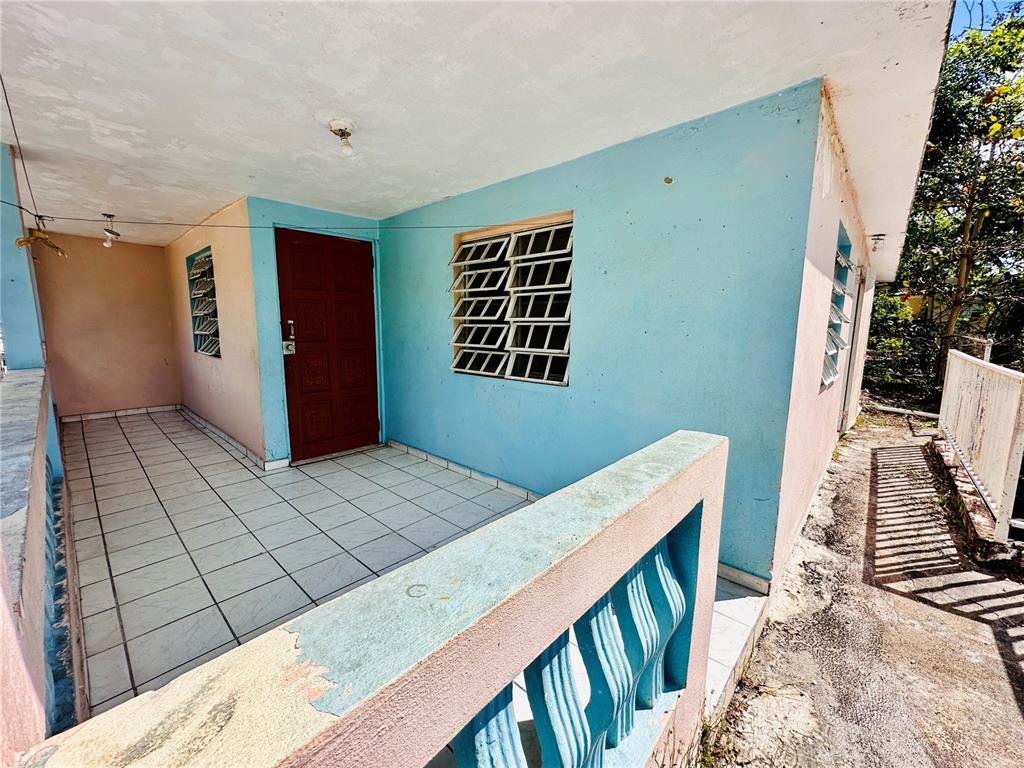Carr 159, Sostre, Corozal - 3