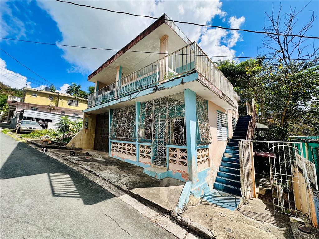 Carr 159, Sostre, Corozal - 30