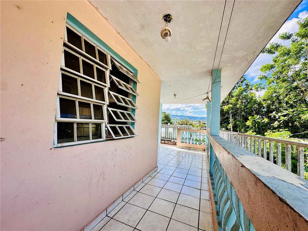 Carr 159, Sostre, Corozal - 4