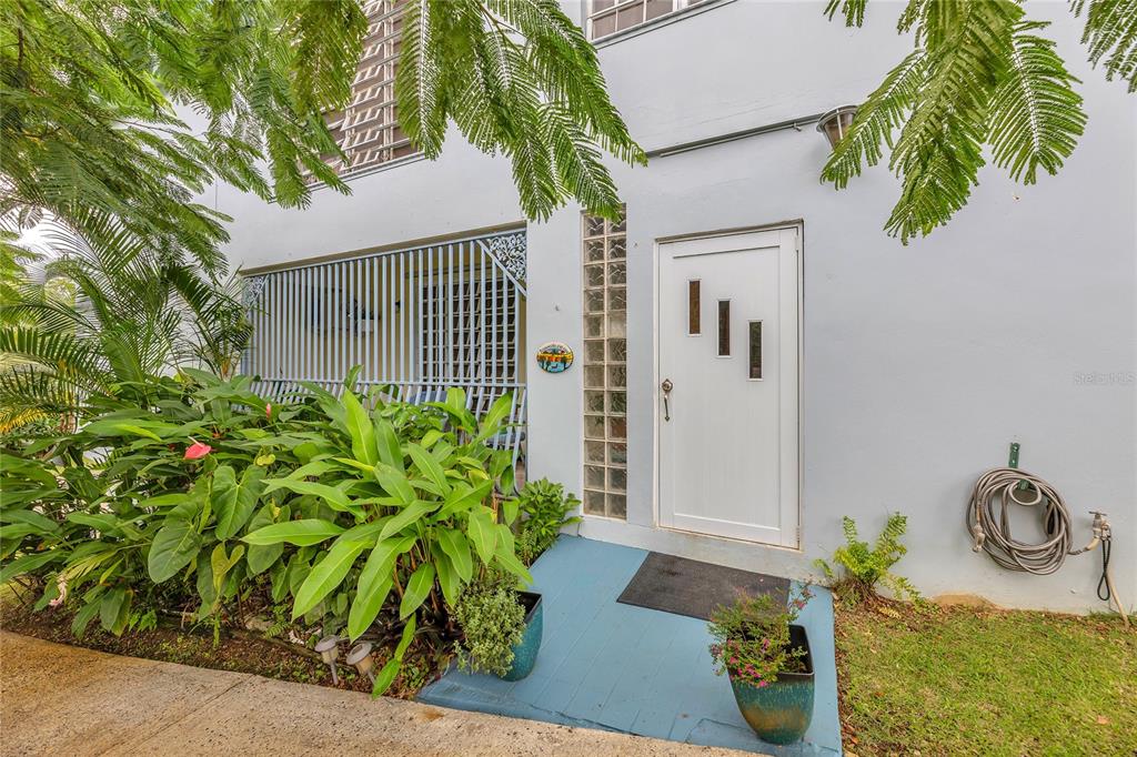 110, Freire Calle Rubi, Cidra - 35