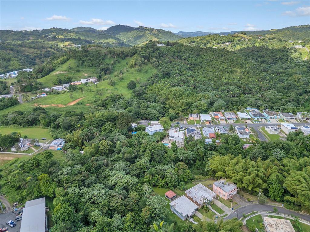 110, Freire Calle Rubi, Cidra - 46