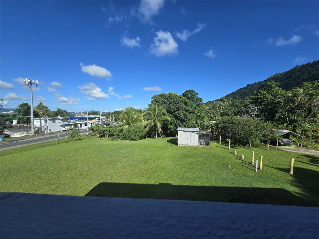 Pr 3, Barrio Juan Martin, Yabucoa - 15