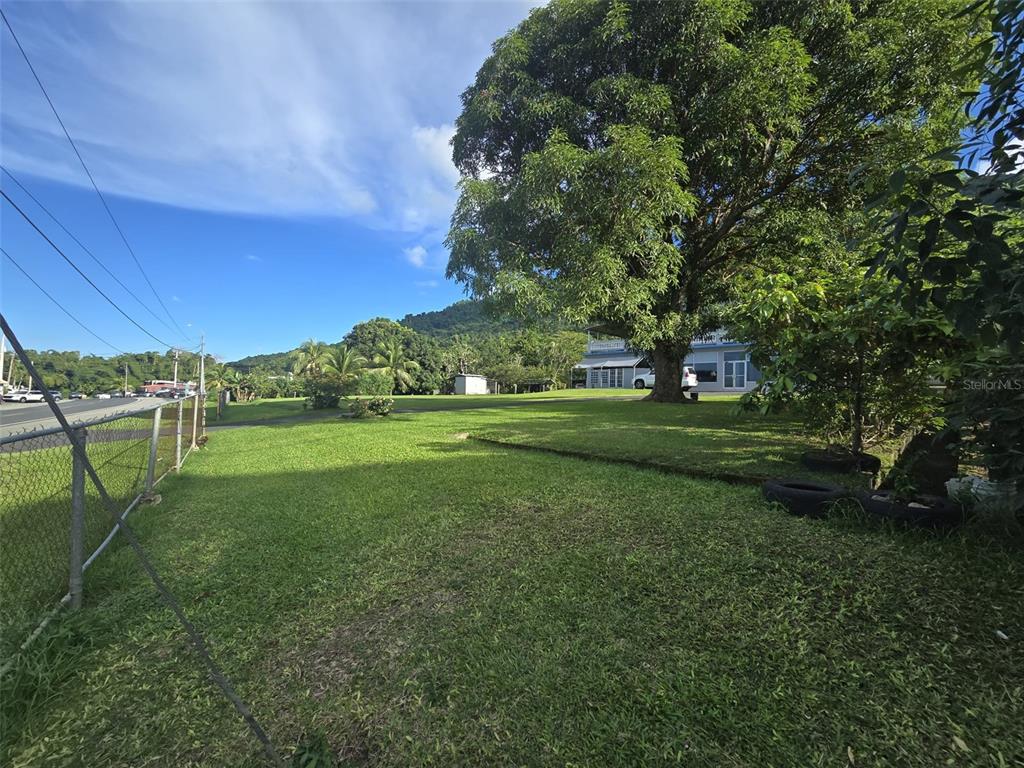 Pr 3, Barrio Juan Martin, Yabucoa - 51