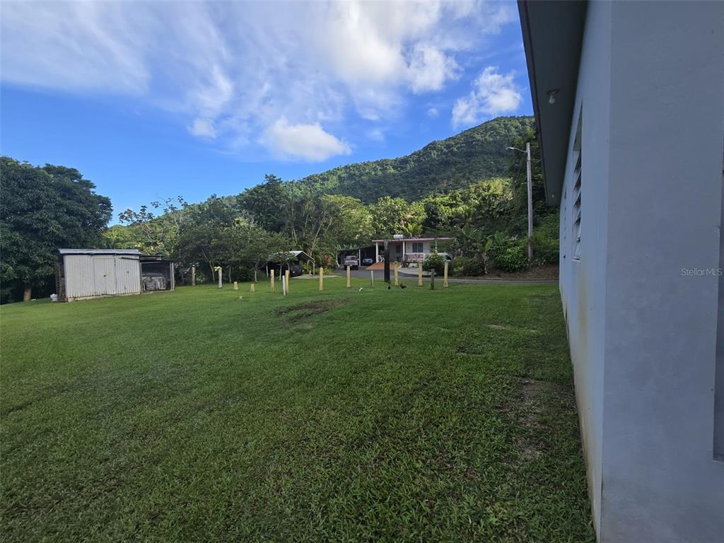 Pr 3, Barrio Juan Martin, Yabucoa - 52