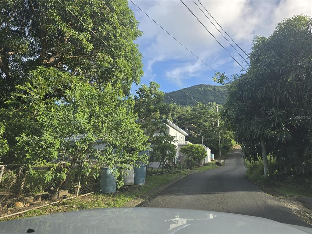 Pr 3, Barrio Juan Martin, Yabucoa - 62