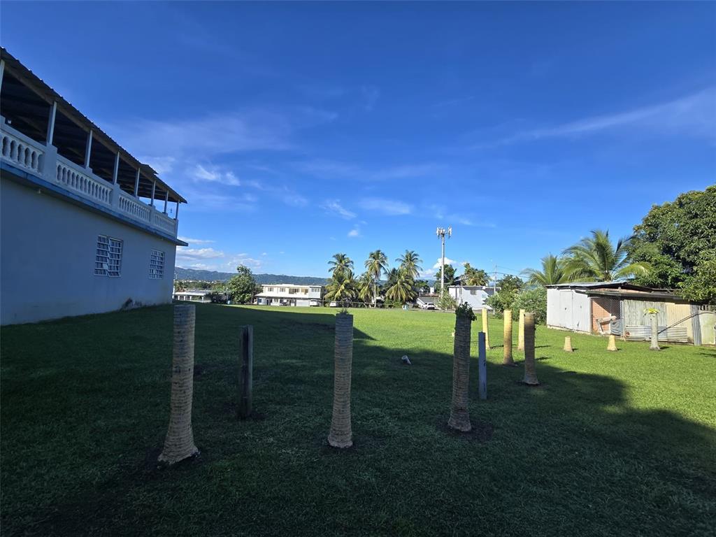 Pr 3, Barrio Juan Martin, Yabucoa - 68