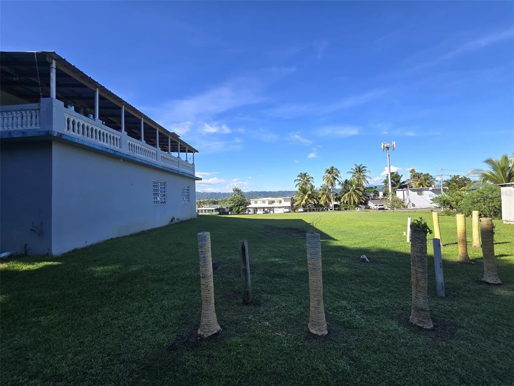 Pr 3, Barrio Juan Martin, Yabucoa - 69
