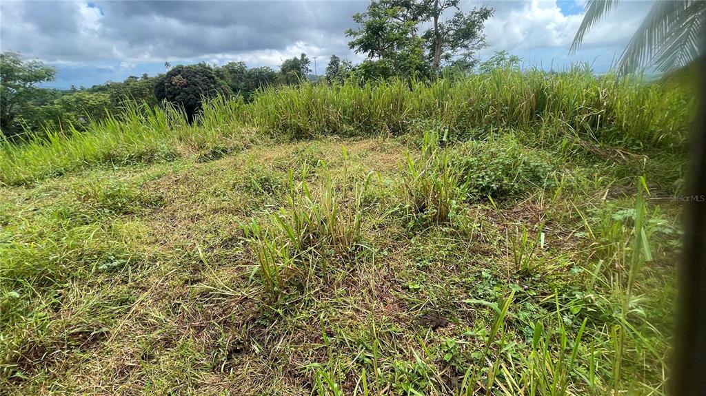 908 St, Barrio Tejas, Yabucoa - 10