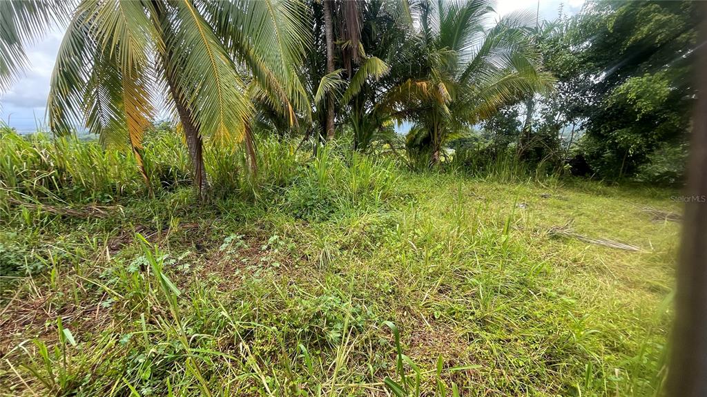 908 St, Barrio Tejas, Yabucoa - 12