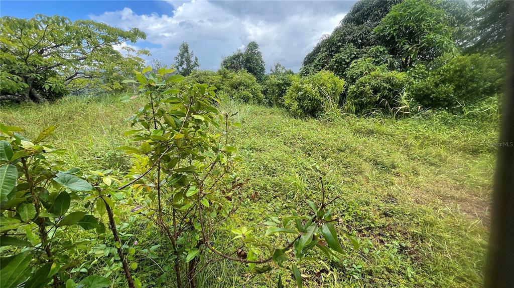 908 St, Barrio Tejas, Yabucoa - 13