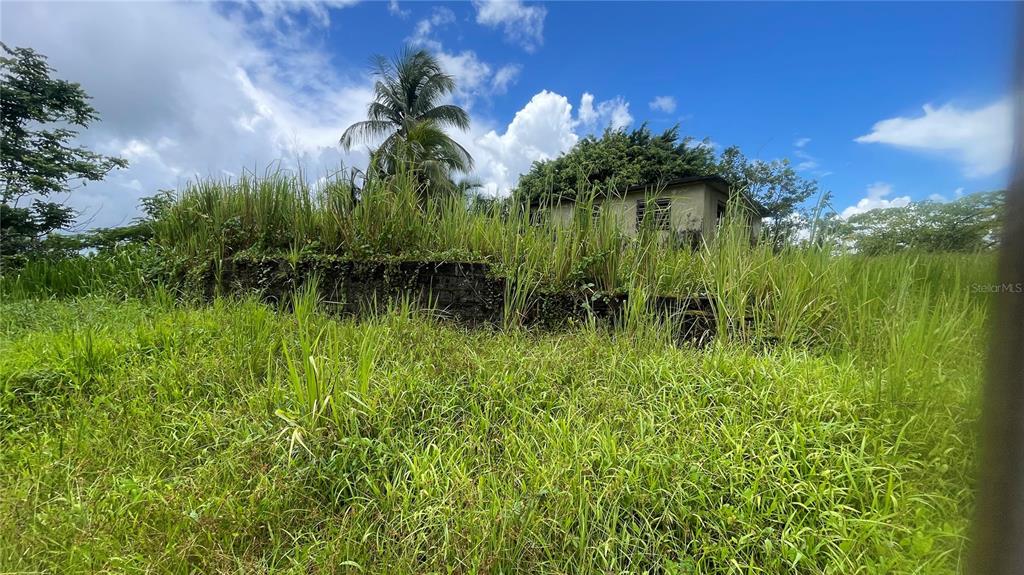 908 St, Barrio Tejas, Yabucoa - 14