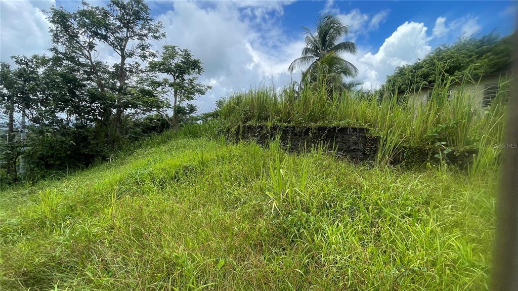 908 St, Barrio Tejas, Yabucoa - 15