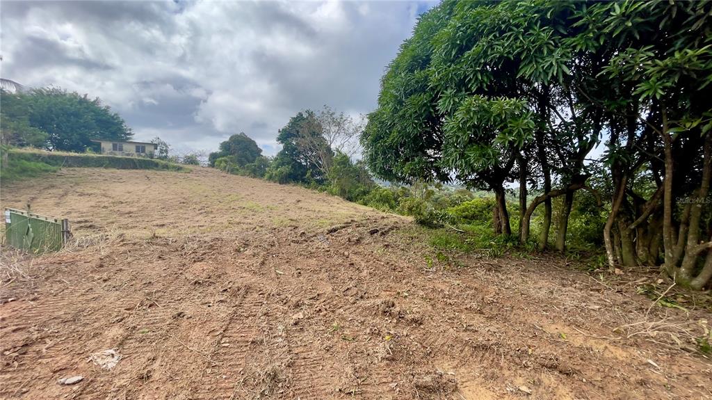 908 St, Barrio Tejas, Yabucoa - 25