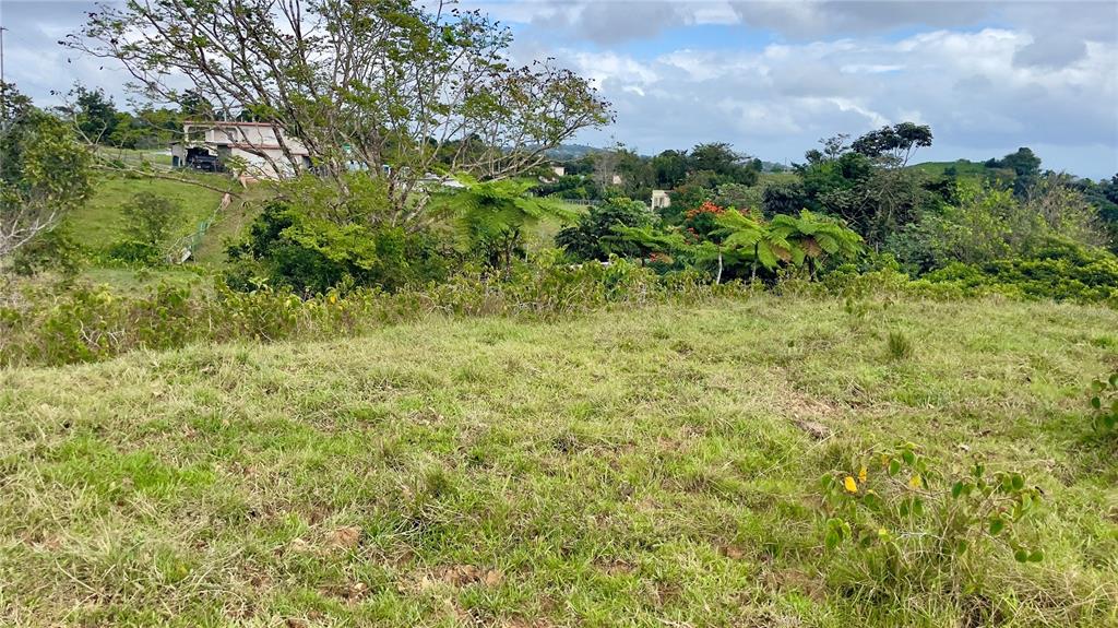 908 St, Barrio Tejas, Yabucoa - 26