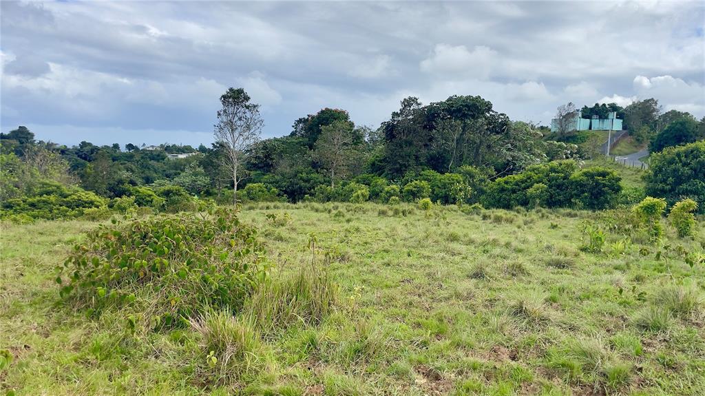 908 St, Barrio Tejas, Yabucoa - 27