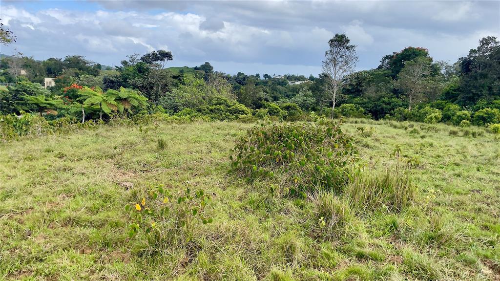 908 St, Barrio Tejas, Yabucoa - 28