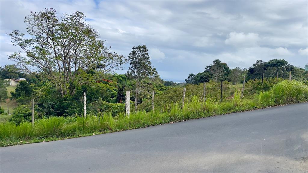 908 St, Barrio Tejas, Yabucoa - 29