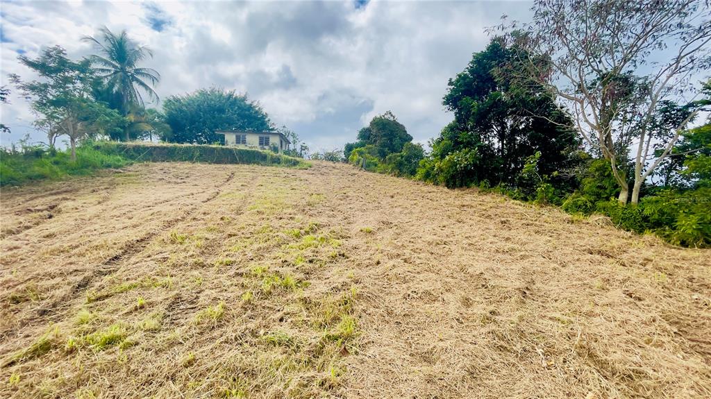 908 St, Barrio Tejas, Yabucoa - 3