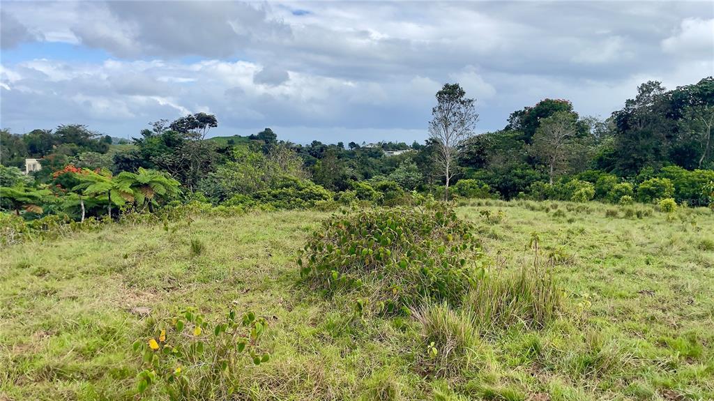 908 St, Barrio Tejas, Yabucoa - 31