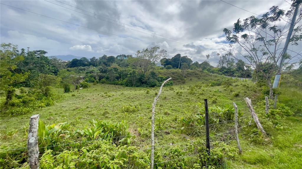 908 St, Barrio Tejas, Yabucoa - 32