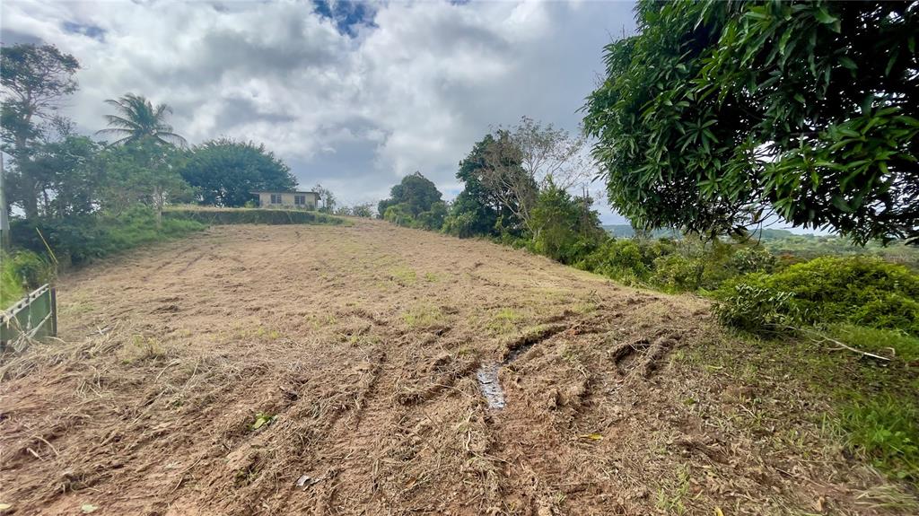 908 St, Barrio Tejas, Yabucoa - 34