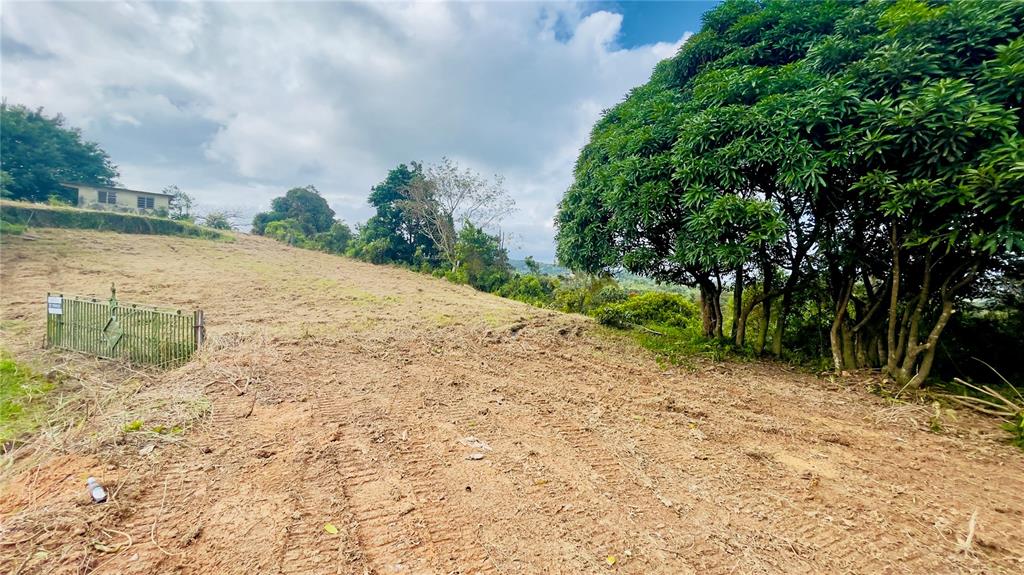 908 St, Barrio Tejas, Yabucoa - 35