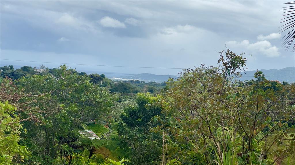 908 St, Barrio Tejas, Yabucoa - 36