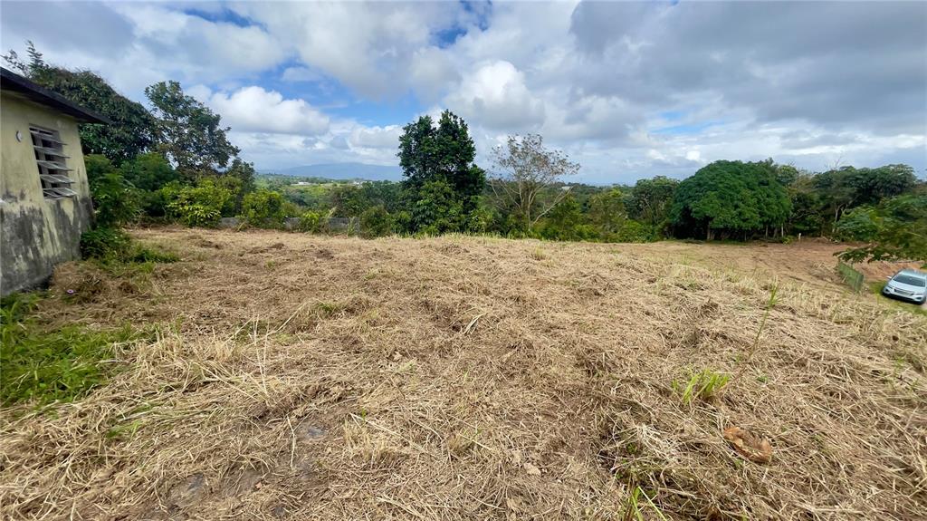908 St, Barrio Tejas, Yabucoa - 37