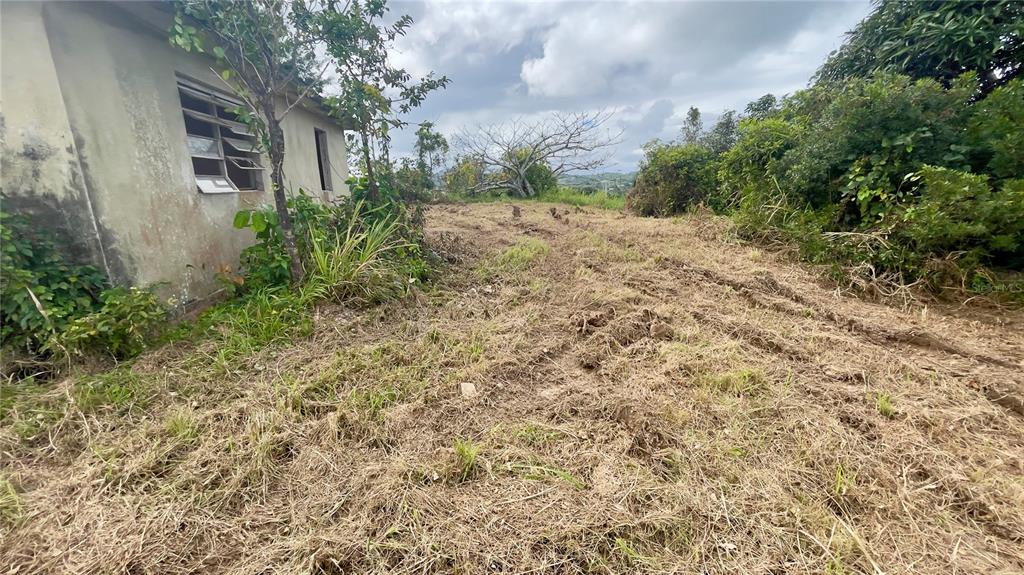 908 St, Barrio Tejas, Yabucoa - 38