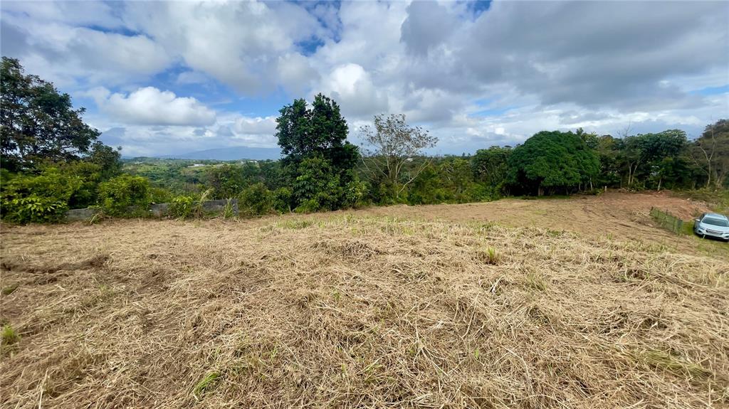 908 St, Barrio Tejas, Yabucoa - 39