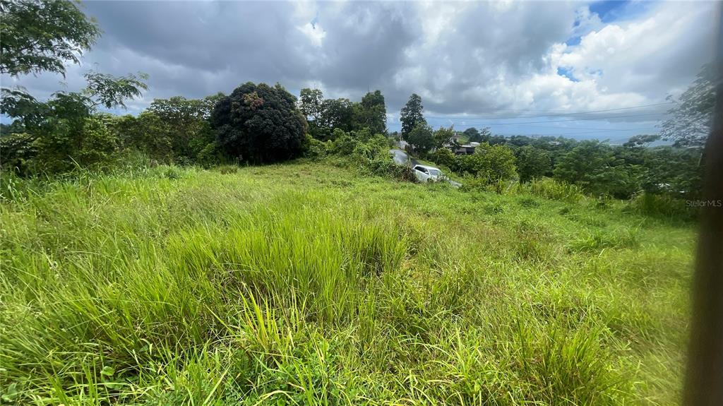 908 St, Barrio Tejas, Yabucoa - 4