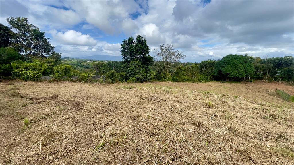 908 St, Barrio Tejas, Yabucoa - 40