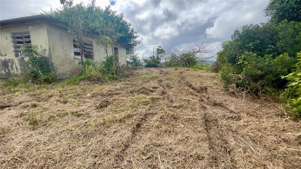 908 St, Barrio Tejas, Yabucoa - 41