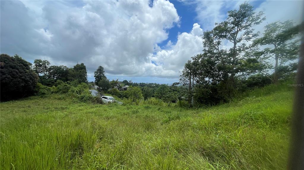 908 St, Barrio Tejas, Yabucoa - 7