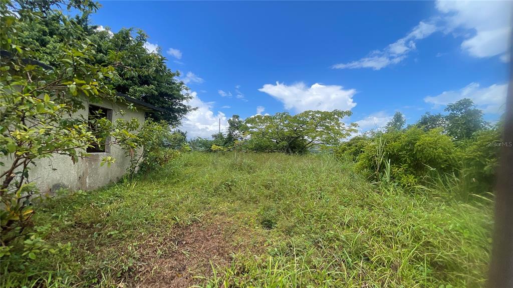 908 St, Barrio Tejas, Yabucoa - 8