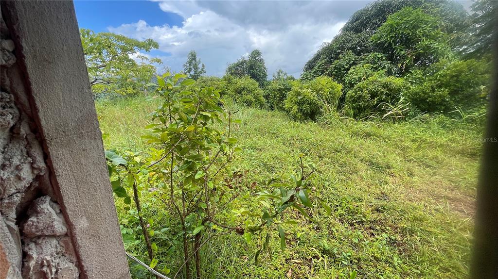 908 St, Barrio Tejas, Yabucoa - 9