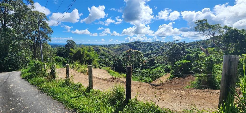 LOT 21, Alturas De Valencia - Valenciano Arriba Ward, Juncos - 5