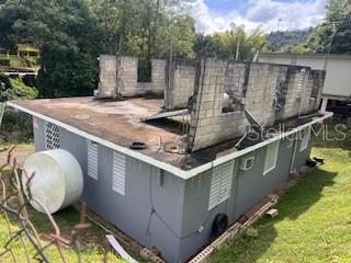 Sector Titulo V, Bo. Yahuecas, Adjuntas - 2