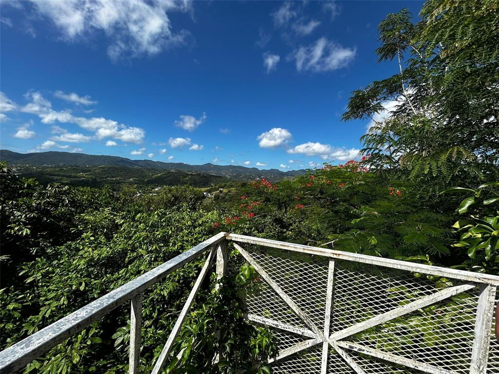 171, Km 2.1, Bo. Rincon, Cidra - 10