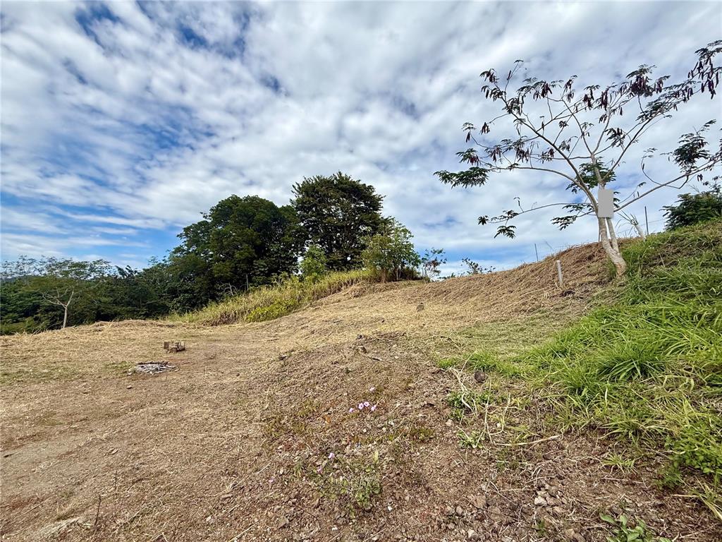Sector Campo Bello, Cidra - 12
