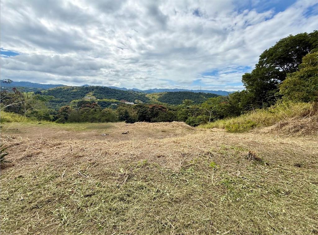 Sector Campo Bello, Cidra - 3