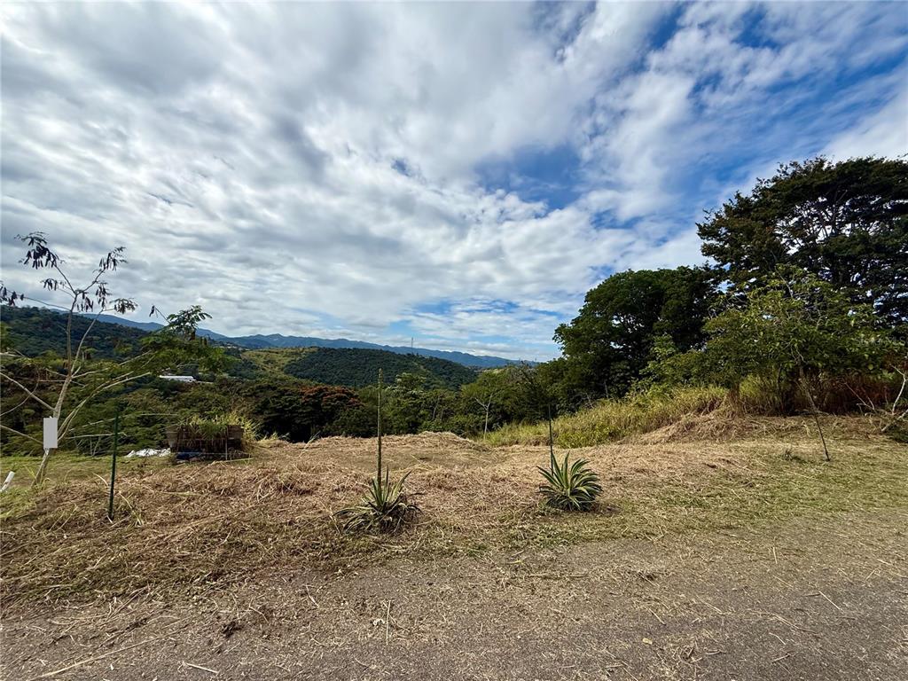 Sector Campo Bello, Cidra - 8