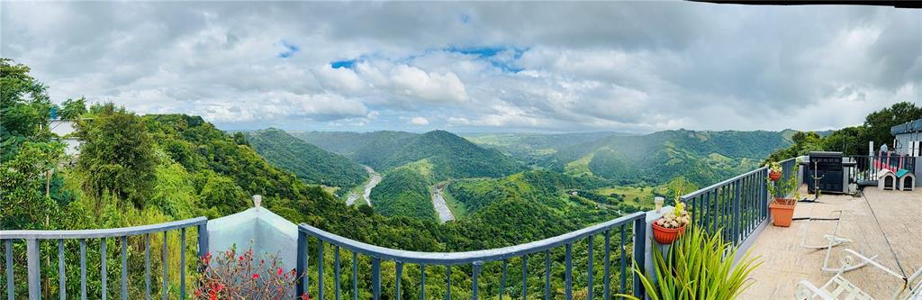 KM 18.3, 149, Route, Ciales - 16
