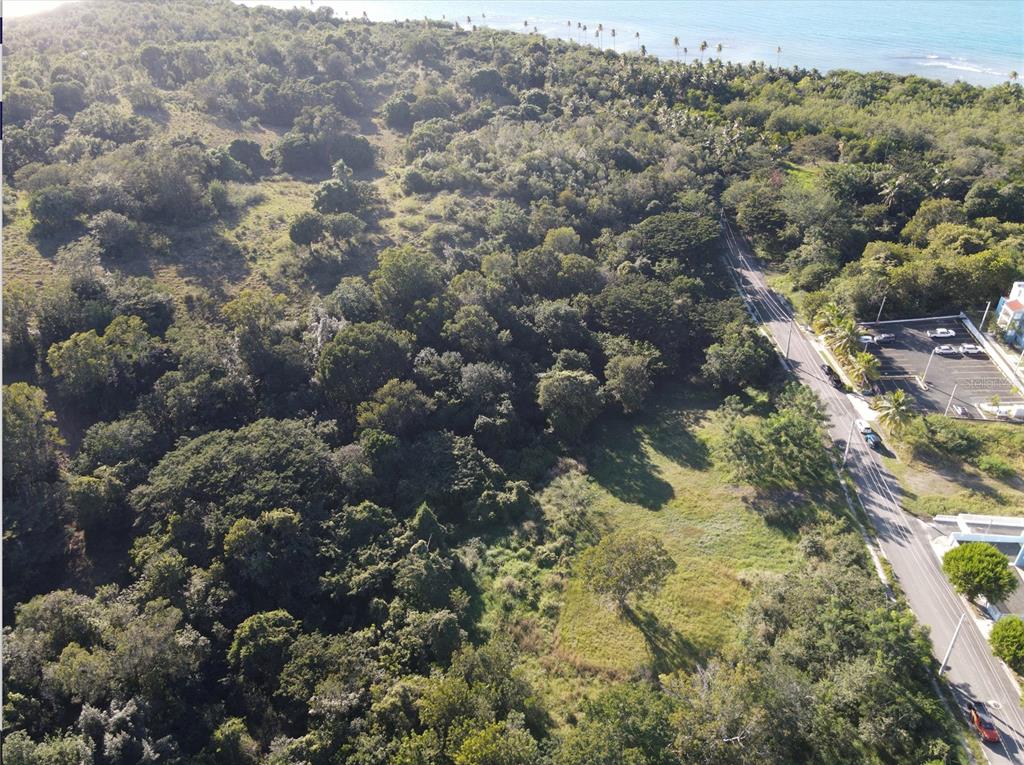 Carr. 307, Km. 3.5, La Mela, Bo. Pedernales, Cabo Rojo - 2